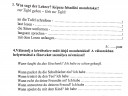 Német – feladat kép 2