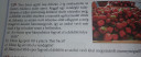 Segítség! – feladat kép 1